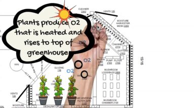 OU812 Greenhouse CO2 O2 Exchange