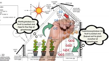 OU812 Greenhouse CO2 O2 Exchange