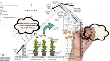 OU812 Greenhouse CO2 O2 Exchange