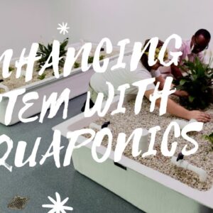 Rachel Fogle is Unlocking Potential with Aquaponics in STEM Education