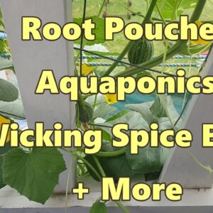 Root Pouches Aquaponics Wicking Spice Beds + More