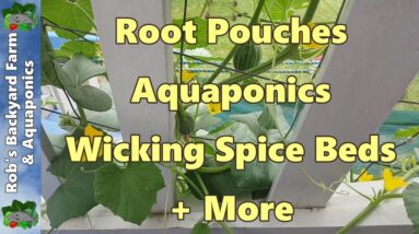 Root Pouches Aquaponics Wicking Spice Beds + More