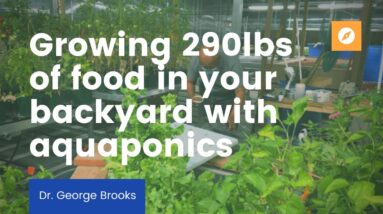 Dr. George Brooks chats affordable aquaponic systems to tackle social equity & food insecurity.