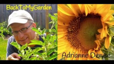 BTMG 080: The Gardener’s Voice with Adrianne Denise  Read more: http://backtomygarden.com/podcast/