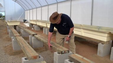 Small Commercial Farm: Setting Up the Media Beds