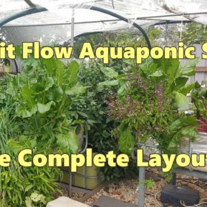 Split Flow Aquaponic System, The Complete Layout Tour.