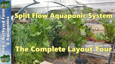 Split Flow Aquaponic System, The Complete Layout Tour.