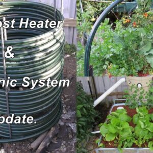 Aquaponic Compost Heater update, water temp's for Jade & Silver perch. AP Update July 2015