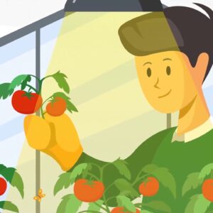 Streamline Your Commercial Aquaponics Farm