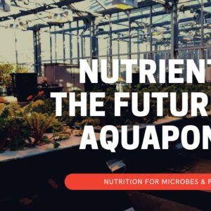 Next Steps and Future Industry Opportunities for Aquaponics in Mineral Delivery & Feeding Microbes