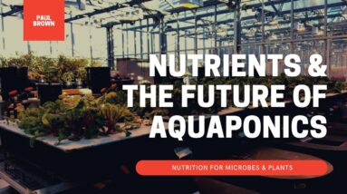 Next Steps and Future Industry Opportunities for Aquaponics in Mineral Delivery & Feeding Microbes