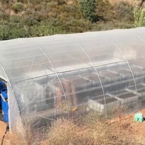 Student Aquaponics Systems