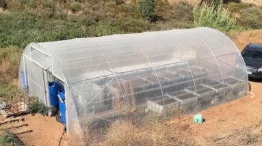 Student Aquaponics Systems