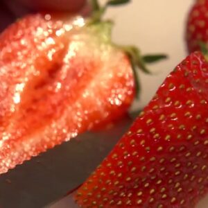 Testing Aquaponically Grown Strawberries using a Refractometer