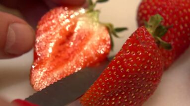 Testing Aquaponically Grown Strawberries using a Refractometer