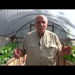 The Beauty of Aquaponics