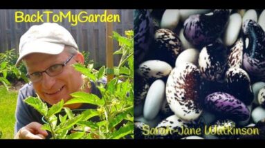 The Greedy Gardener with Sarah-Jane Watkinson