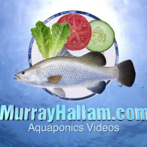 The Realities of Commercial Aquaponics