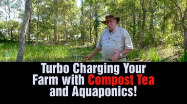 Turbo Charging Your Farm with Compost Tea and Aquaponics