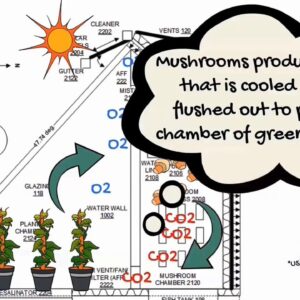 UAE Foodtech Challenge Team Video 2 11 20