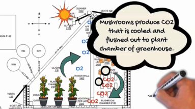 UAE Foodtech Challenge Team Video 2 11 20