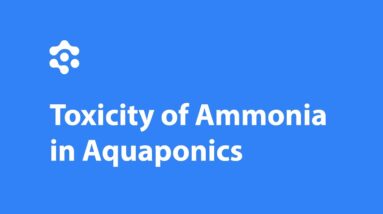 Visualizing the Toxicity of Ammonia in your Aquaponics System