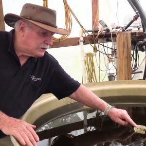 Water Levels in Aquaponics