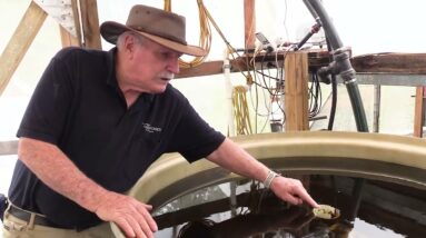 Water Levels in Aquaponics