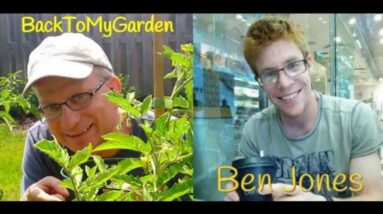 BTMG 078: The Hort Doctor with Ben Jones  Read more: http://backtomygarden.com/podcast/btmg-078-hort