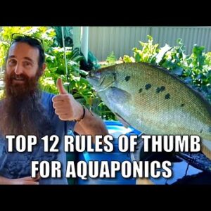 12 Rules of Thumb For Aquaponics