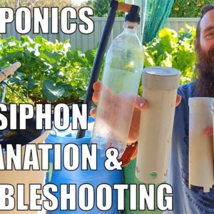 Aquaponics Bell Siphon Explained + Troubleshooting Tips