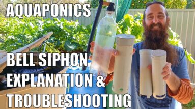 Aquaponics Bell Siphon Explained + Troubleshooting Tips