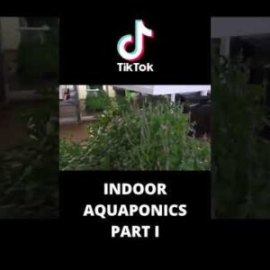 Indoor aquaponics system part I #shorts