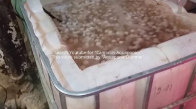 Moving Biofilter