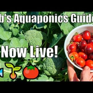 Rob's NEW Aquaponics Guide & System Harvest/Update