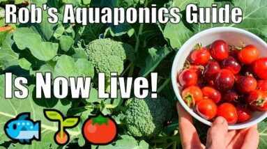 Rob's NEW Aquaponics Guide & System Harvest/Update