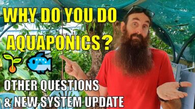 "Why Do You DO Aquaponics?" Other Questions & System Update