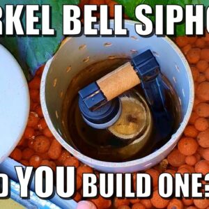 How to Build a Snorkel Bell Siphon for Aquaponics