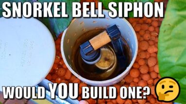 How to Build a Snorkel Bell Siphon for Aquaponics