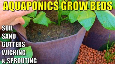 5 Aquaponics Grow Bed Ideas | Soil - Wicking - Sand - Gutter Beds - Sprouting Grain