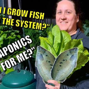 Is Aquaponics Right For You 🐟🌱& Growing Your Own Fish Food | Rob's Thoughts 🤔