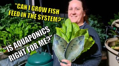 Is Aquaponics Right For You 🐟🌱& Growing Your Own Fish Food | Rob's Thoughts 🤔