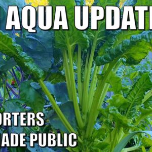 Mini Aquaponics System Update | Videos Ideas Please & Early Spring Update