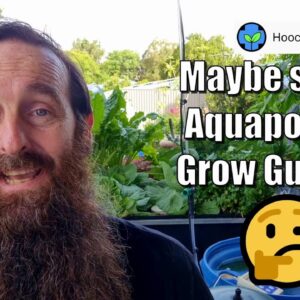 Aquaponics System Maintenance, Seed Saving & 🤬 QLD Fruit Flies