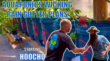 Aquaponics Wicking Rain Gutter Plans with @Hoocho  🐟🌱🍓