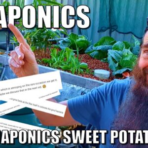 Aquaponics Q&A + Sweet Potato experiment - Dec 2021