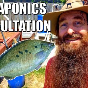 Aquaponics System Consultation at Barney's