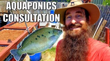 Aquaponics System Consultation at Barney's