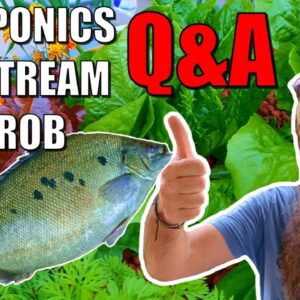 Aquaponics LIVE Q&A With Rob