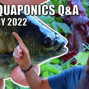 LIVE Aquaponics Q&A With Rob & B 🐟🌿🥦